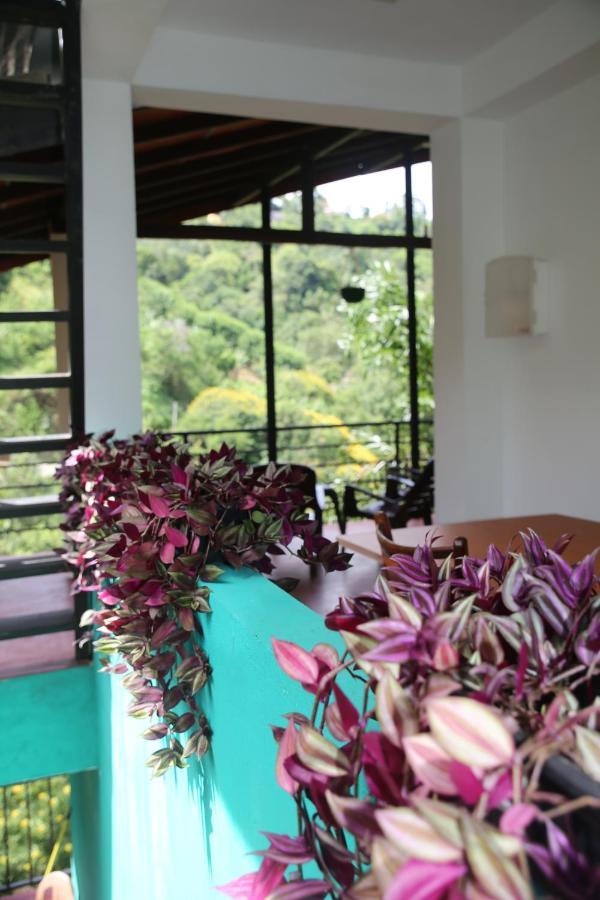 Rawana Mountain View Homestay エッラ エクステリア 写真