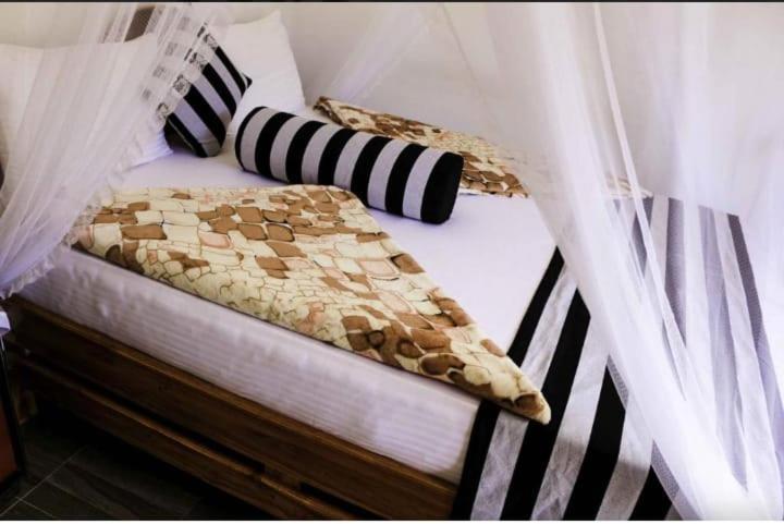Rawana Mountain View Homestay エッラ エクステリア 写真